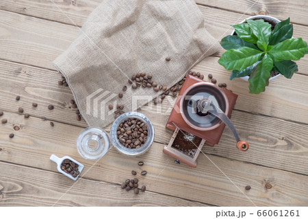 コーヒーミルで豆を挽く コーヒーミルで豆を挽く 66061261