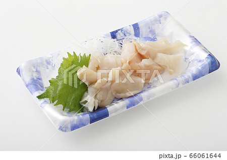つぶ貝　刺身 66061644