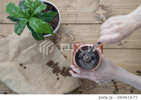 コーヒーミルで豆を挽く 66061675