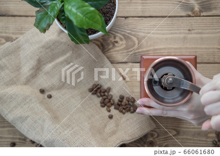 コーヒーミルで豆を挽く 66061680