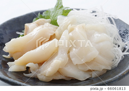 つぶ貝 刺身 つぶ貝 刺身 66061813