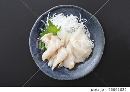 つぶ貝　刺身 66061822
