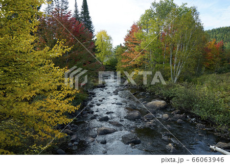 カナダの紅葉 カナダの紅葉 66063946