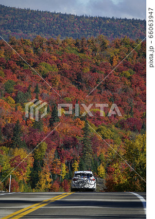 カナダの紅葉 カナダの紅葉 66063947
