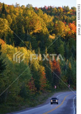 カナダの紅葉 66063981
