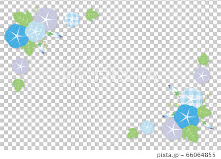 あさがおの花 青 フレーム ポストカード 背景素材のイラスト素材