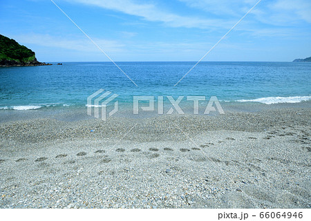海沿い 海浜 海 66064946