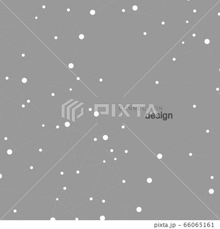 Abstract connect polygonal network background with dots and lines Abstract connect polygonal network background with dots and lines 66065161