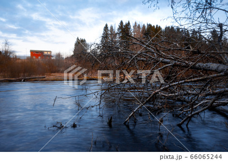 A fallen tree is right in front of a river in a village. 66065244