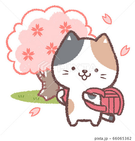 三毛ネコ入学式赤 66065362