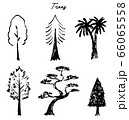 trees 66065558