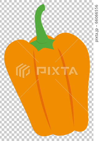 Vegetables paprika orange Vegetables paprika orange 66066556