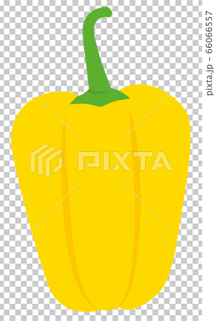 蔬菜辣椒粉黃色 66066557