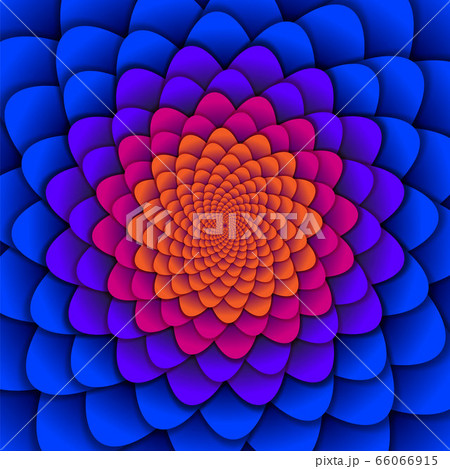 Abstract background. Spiral flower pattern in red and blue. Abstract Lotus Flower. Esoteric Mandala Symbol. 66066915