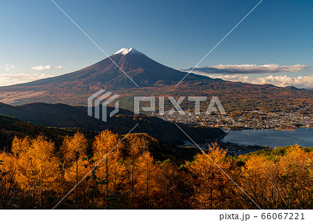 (山梨県)カラマツ黄葉と初冠雪の富士山 (山梨県)カラマツ黄葉と初冠雪の富士山 66067221