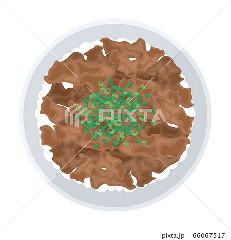 牛丼のイラスト 牛丼のイラスト 66067517