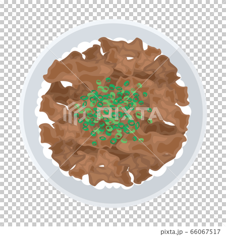 牛丼のイラスト 牛丼のイラスト 66067517