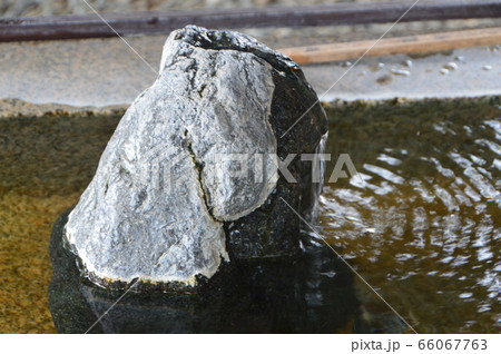 手水舎（中目黒八幡神社／東京都目黒区中目黒3-10-5） 66067763