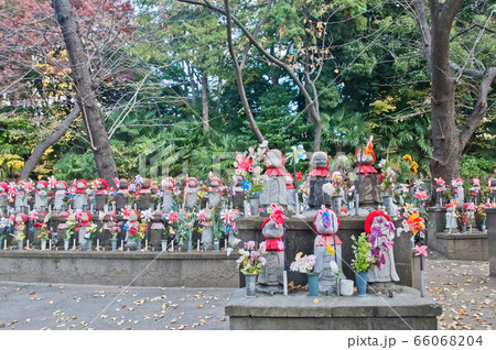 TOKYO, JAPAN - DECEMBER 1, 2018 Park in Zojo-ji temple TOKYO, JAPAN - DECEMBER 1, 2018 Park in Zojo-ji temple 66068204