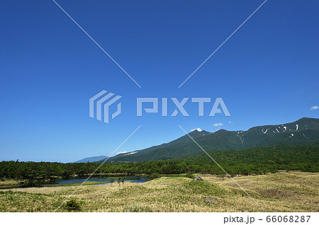 夏の知床五湖から望む知床連山（北海道） 66068287