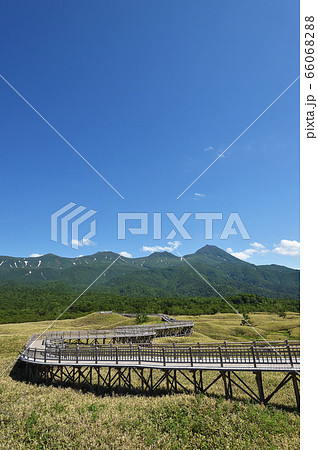 知床五湖の遊歩道から見た知床連山(北海道) 知床五湖の遊歩道から見た知床連山(北海道) 66068288