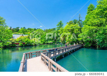 東京　春の井の頭公園 66069041