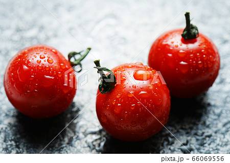 水滴のついたトマト 66069556