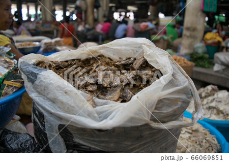 インド,インパールのイマ・マーケット / Ima market in Imphal, Manipur インド,インパールのイマ・マーケット / Ima market in Imphal, Manipur 66069851