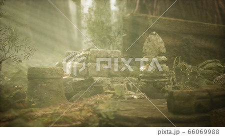 Hoary ruins of ancient city in pine forest 66069988