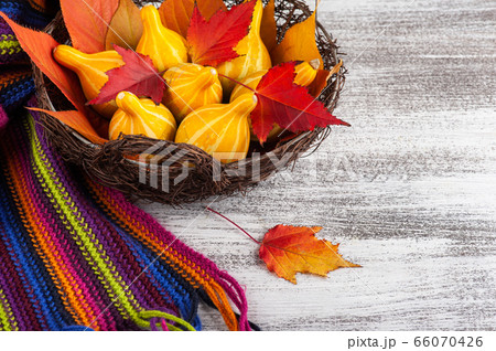 Small decorative pumpkins Small decorative pumpkins 66070426