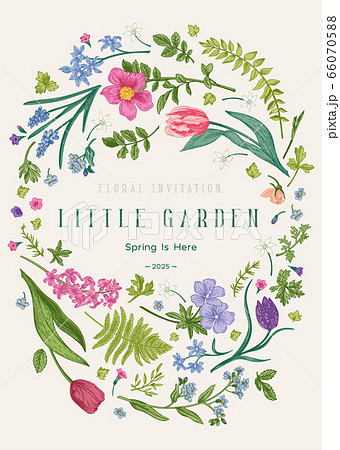 Oval floral frame. Colorful.のイラスト素材 [66070588] - PIXTA