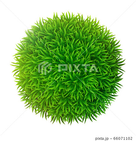 Grassy sphere Grassy sphere 66071102