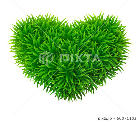 Grassy heart 66071103