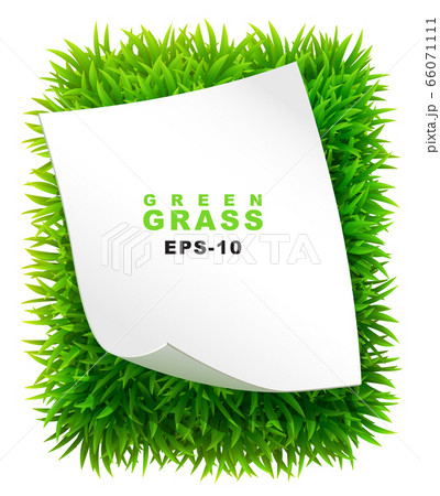 Grassy rectangle with a clean sheet of paper 66071111