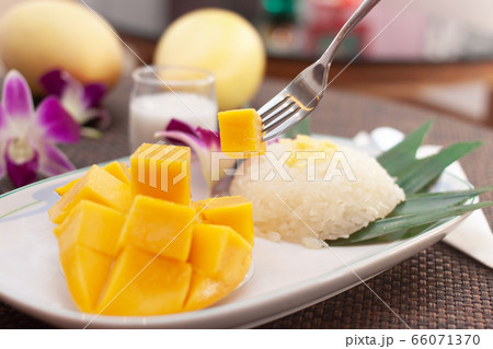 Sticky rice and sliced mango with coconut cream 66071370