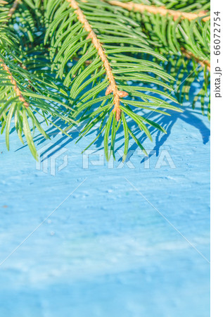 Christmas tree on blue board. Christmas tree on blue board. 66072754