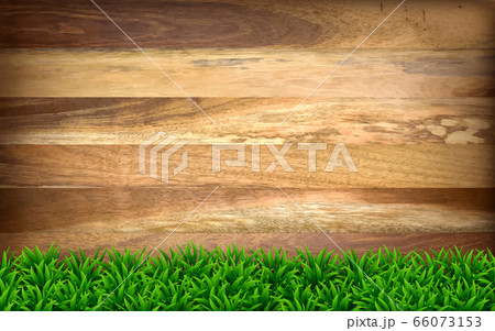 Wooden boards with green grass. Wooden boards with green grass. 66073153
