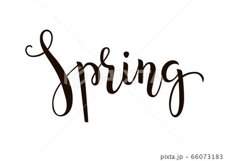 Spring - hand-drawn lettering decoration text on white background. Design template for greeting cards, invitations, banners, gifts, prints, posters etc. Calligraphic inscription. Spring - hand-drawn lettering decoration text on white background. Design template for greeting cards, invitations, banners, gifts, prints, posters etc. Calligraphic inscription. 66073183