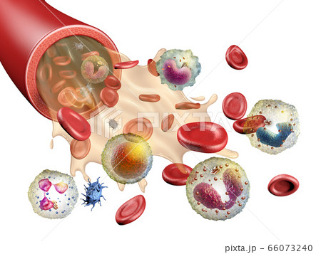 Blood constituents Blood constituents 66073240