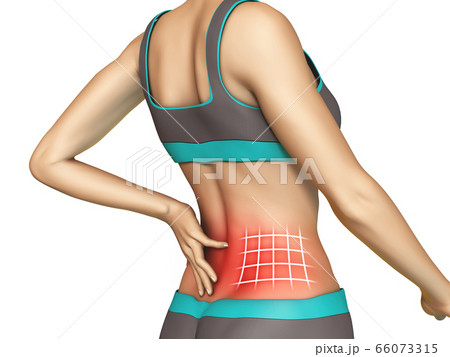 Lower back pain Lower back pain 66073315
