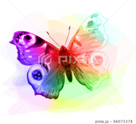Butterfly. Iridescen colours. Butterfly. Iridescen colours. 66073378
