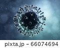 Coronavirus illustration. New deadly disease-causing viruses such as COVID-19 or SARS (Severe acute respiratory syndrome). Virus in a microscope close up. 3D rendering  66074694