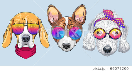 vector Set 6 of cartoon dogs vector Set 6 of cartoon dogs 66075200