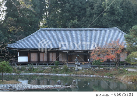 浄瑠璃寺 晩秋の九体寺阿弥陀堂 浄瑠璃寺 晩秋の九体寺阿弥陀堂 66075201