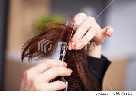 Woman cut the ends of her hair in a beauty studio Woman cut the ends of her hair in a beauty studio 66075319