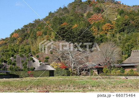 京都嵯峨野の秋～風雅の里 66075464