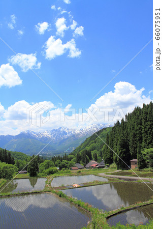 白馬村　青鬼の5月 66075951
