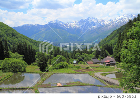 白馬村　青鬼の5月 66075953