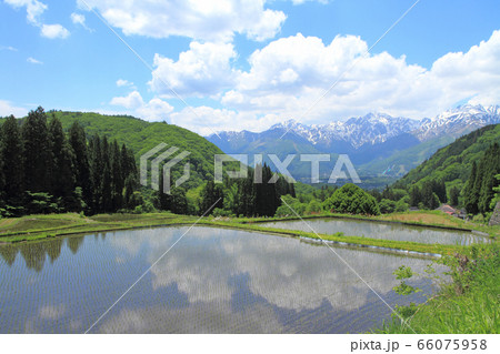 白馬村　青鬼の5月 66075958
