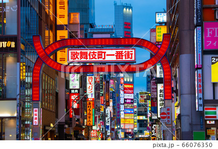 日本の東京都市景観　新宿・歌舞伎町などを望む 66076350